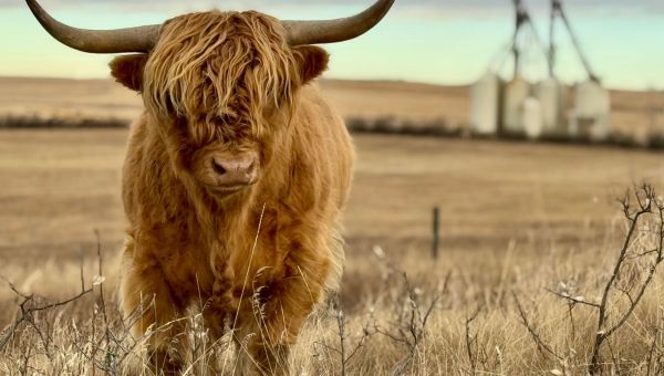 Success Story: Waverley Ranch — Building a Life Rooted in Purpose